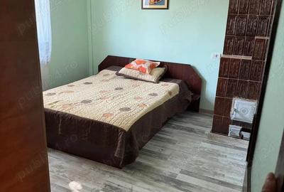 Casă cu Teren 1250 Mp în Prunaru - 2