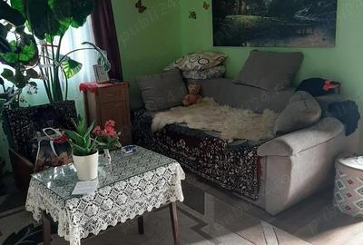 Casă cu 3 camere cu Teren 1930 Mp în Tulgheș - 10