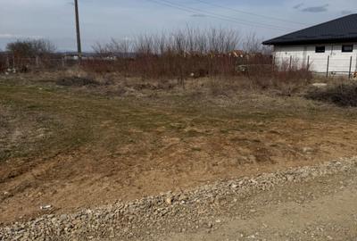 Teren de 533 mp, în Ulmi