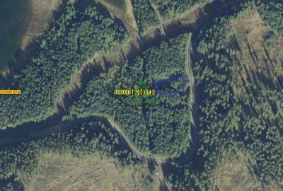 Teren /Obarsia Lotrului /DN 7A - 3