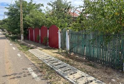 Casă cu Teren 6675 Mp în Morteni - 4