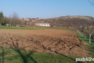 Teren de 2200 mp, în Central - 4
