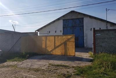 Spațiu industrial, 700 mp în Bradu