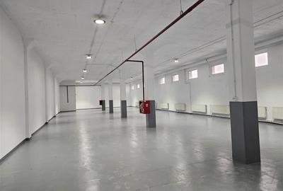 Spatii depozitare, productie, birouri, showroom-uri - de la 450 mp - 2