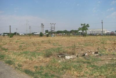 Magurele - Atomistilor, Zona Mixta - 6