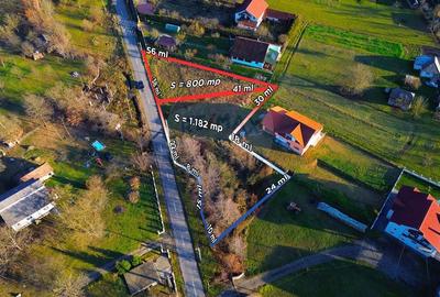 TEREN DE VANZARE - 1982 mp (20 ari) - Dumbravita / Strada principala - 3