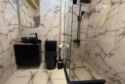 Garsoniera decomandata, 32 mp, zona Facultatea de Agronomie - 4