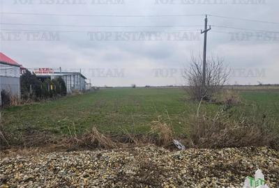 Teren de 7169 mp, în Centura Vest - 5
