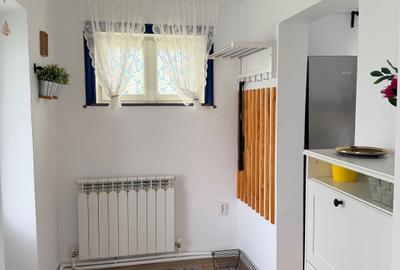 Casă cu 2 camere în Nicolae Bălcescu - 3