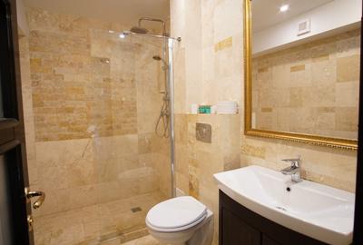 Apartament de inchiriat cu 2 camere- Zona Copou Iasi - 7