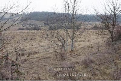 Teren de 475 mp, în Central - 8