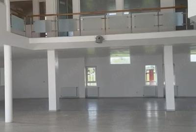 Spațiu comercial, de 910 mp, în Afumați - 10