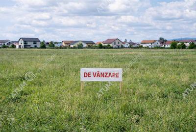 Teren extravilan cu suprafata de 2004 mp situat in Rasinari - 1