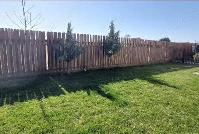 Casă cu Teren 350 Mp în Dumbrăvița - 3