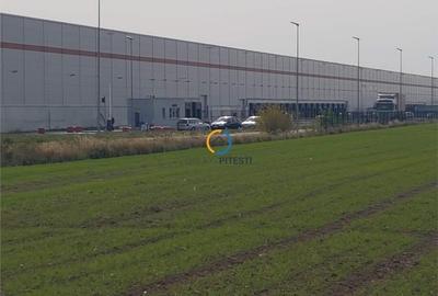 Teren Autostrada 80.000 mp, deschidere la asfalt 113 ml, langa pasarela Oarja - 4