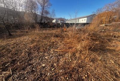 Teren Construcții intravilan de 2600 mp, în Viișoara - 5