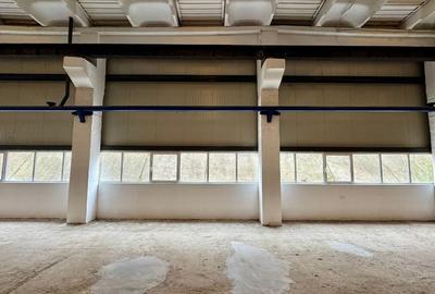 Spațiu industrial, de 990 mp, în Tătărași - 3