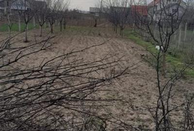 Casă cu 2 camere cu Teren 1155 Mp în Teslui - 2