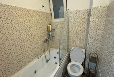 Apartament cu 1 camera Visan - 8