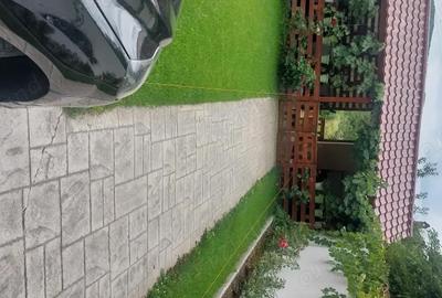 Casă cu 6 camere cu Teren 700 Mp în Aranghel - 10