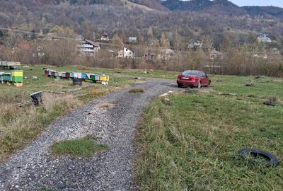 Spațiu comercial, în Central - 2