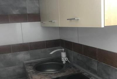 Minigarsoniera centru civic Iasi - 3