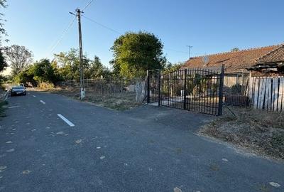 Teren Construcții intravilan de 6005 mp, în Șiriu - 4