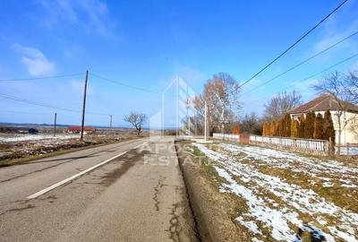 Teren Construcții intravilan de 5000 mp, în Nord