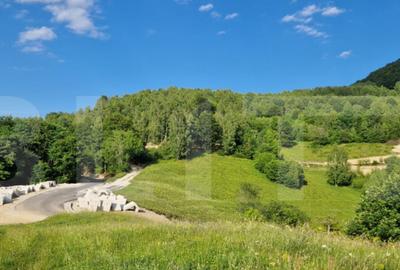11,5 ha teren extravilan pe Trans Apuseana cu izvor ?i - 2