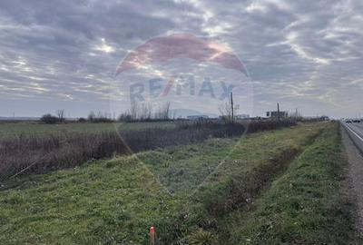 Teren Construcții intravilan de 1503 mp, în Nojorid - 4