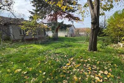 Teren de vanzare in Valu lui Traian, Calea Dobrogei - 3