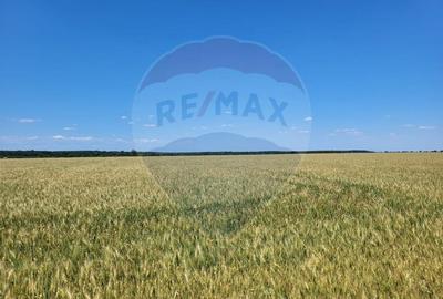 Teren intravilan 30,000mp Corbeanca P+1+E2 - 2