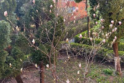 Apartament cu 3 camere decomandat în Centrul Civic - 8