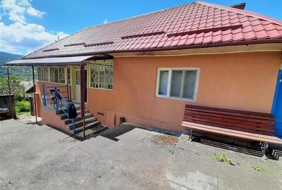 Vanzare casa cu anexe si 5500 mp teren, Valea Ariesului, Salciua - 2