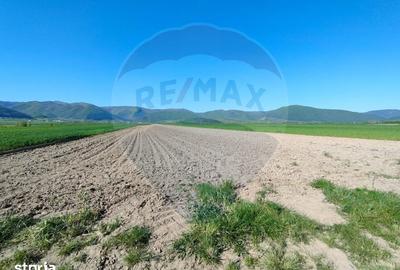 Teren de 1724 mp, în Gura Râului - 5