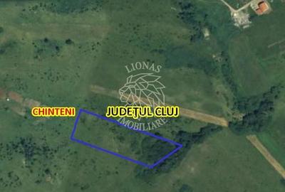 Teren agricol intravilan de 8500 mp, în Chinteni - 1