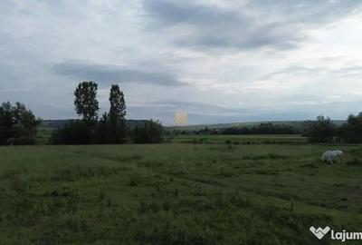 Teren de 3953 mp, în Fălticeni - 6