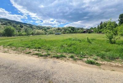 Teren intravilan Vladesti - 6