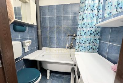 Apartament renovat cu 2 camere  | Shopping City | Sagului - 9