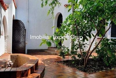 Dacia-Vasile Lascar - 4