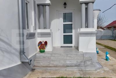 Casa de Vanzare la Țara, Gospodarie Completa, Daneti, judetul Dolj, 2.454 mp - 2