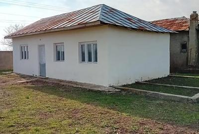 Casă cu 3 camere cu Teren 855 Mp în Central - 2