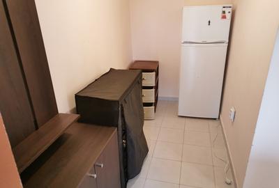 Apartament 2C Podu de Fier - 5