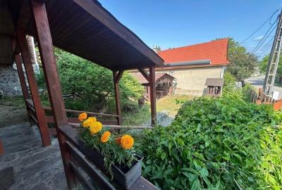 Casa - Vila Rustica - Casa de locuit sau Pensiune - 11