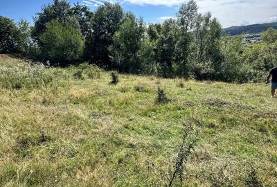 Teren de 3552 mp, în Marginea