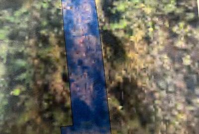 Teren De Vanzare - 2