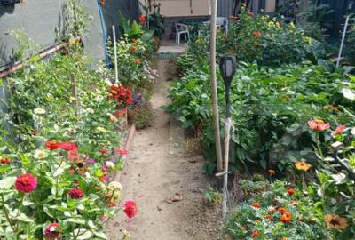 Casa 4 camere, 146 mp, zona 14 Mai - 1