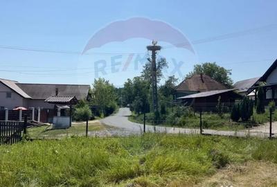 Casă cu 3 camere cu Teren 3760 Mp în Arieșu de Pădure - 5