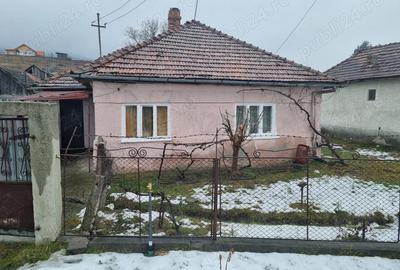 Casă cu 4 camere cu Teren 3393 Mp în Aghireșu - 9