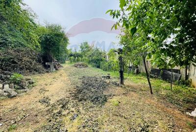 Teren 1,000mp Slatina / Prelungirea Tunari - 10
